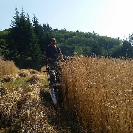 Azienda Agrituristica Risveglio Naturale 바레세 리구레 외부 사진