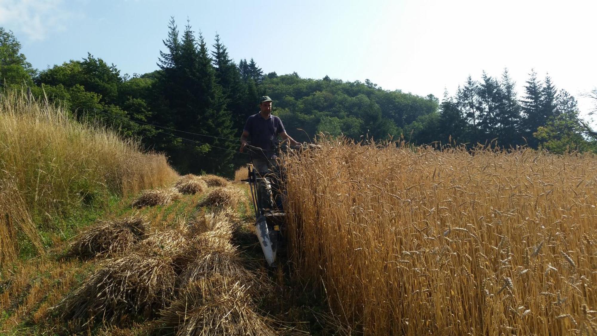 Azienda Agrituristica Risveglio Naturale 바레세 리구레 외부 사진